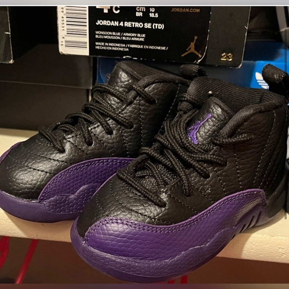 Jordan retro 12